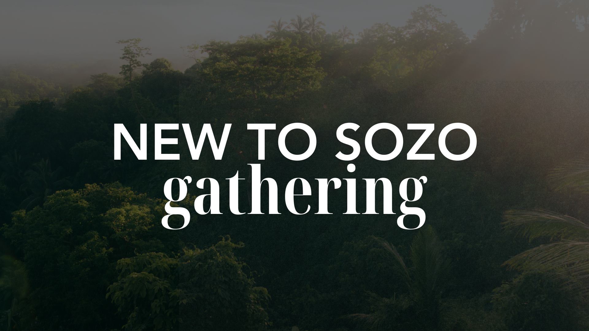 NEW-TO-SOZO GATHERING Image
